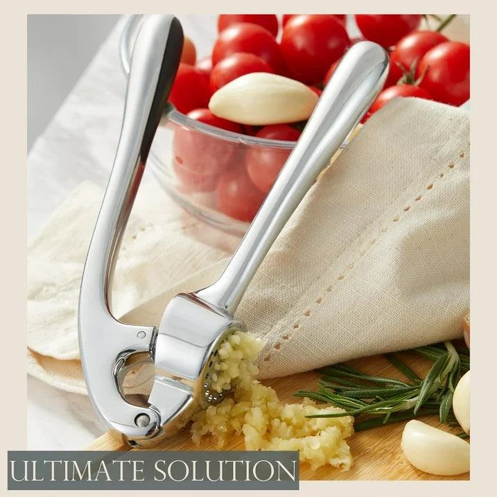 Premium Garlic Press, Professional Garlic Mincer, Easy to Squeeze and Clean, Rust Proof, Efficient Ginger Crusher - Gloss Silver
